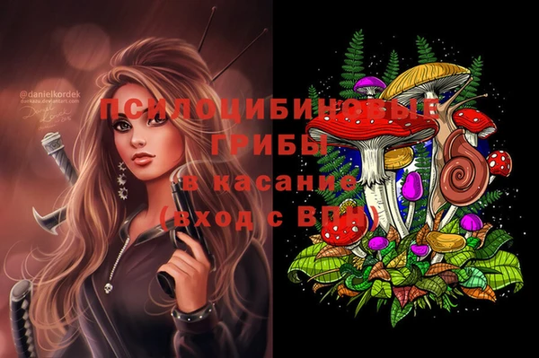 дживик Зерноград