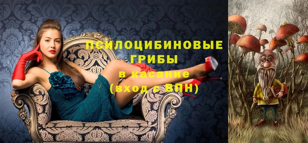 дживик Зерноград