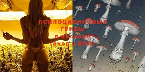 дживик Зерноград