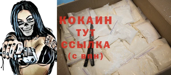 дживик Зерноград