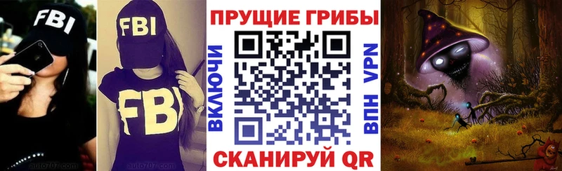 Купить где  Зубцов  Псилоцибиновые грибы Psilocybe 